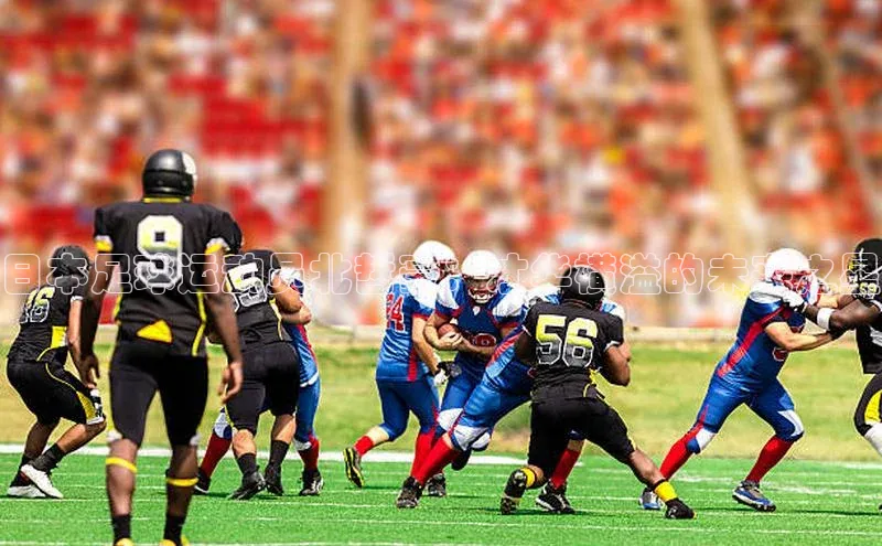 龙8网页版登录官网雷柏科技日本足球运动员北哲豪：才华横溢的未来之星