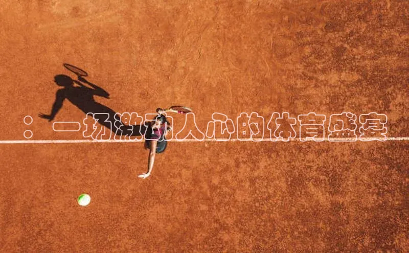 头号玩家娱乐平台百度数据开放平台：一场激动人心的体育盛宴