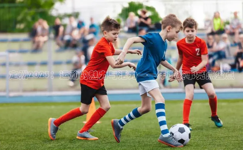 定州2023：运动的魅力与活力——年度赛事亮点盘点