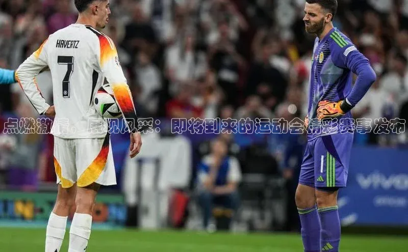 点燃激情，展现风采：即将到来的运动会精彩赛事发布