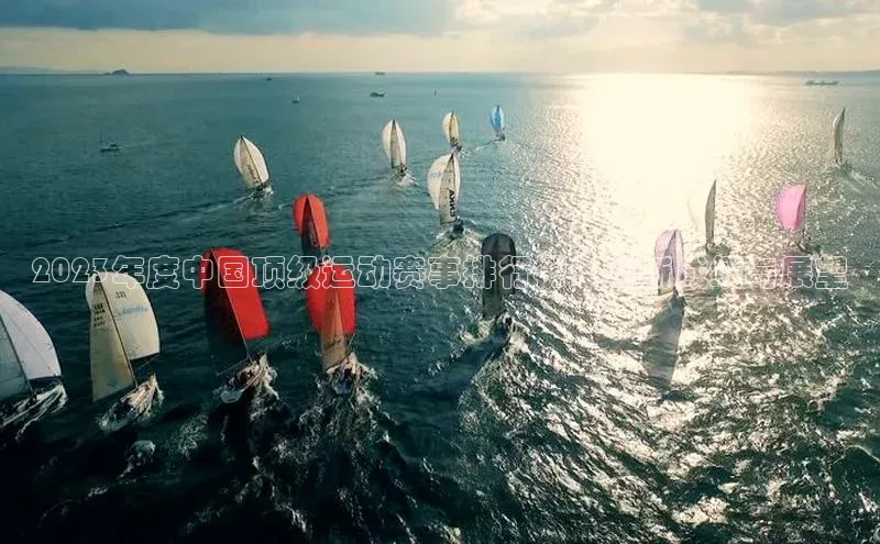 2023年度中国顶级运动赛事排行榜：最新成绩与展望