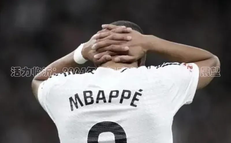 活力临沂：2024年度运动赛事精彩回顾与展望