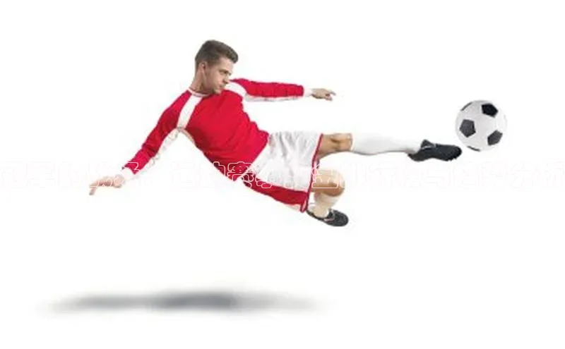 冠军的战场：运动赛事奖金排行榜与趋势分析