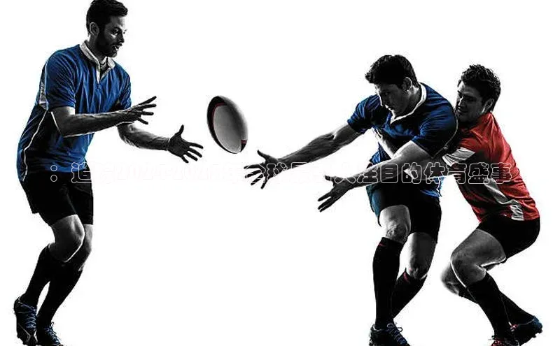 ：追踪2024-2023年全球最引人注目的体育盛事