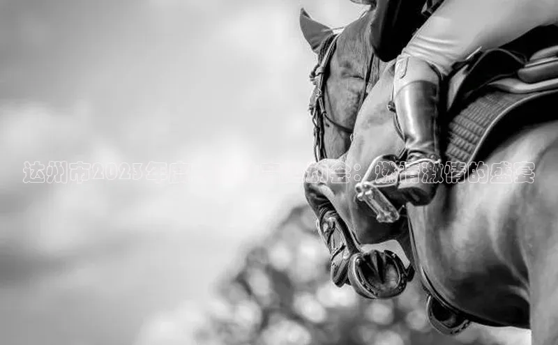 达州市2023年度大型体育运动会：燃情激情的盛宴