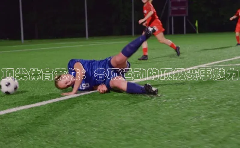 顶尖体育竞技：各项运动的顶级赛事魅力