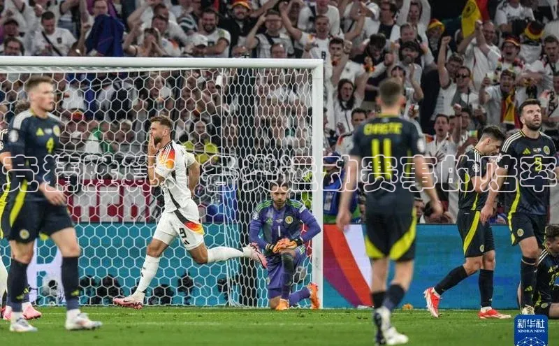 竞猜胜算：各类运动赛事的赔率