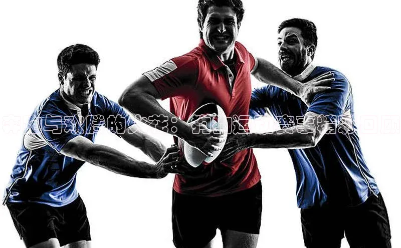 奔跑与欢腾的火花：狗狗运动赛事精彩回顾