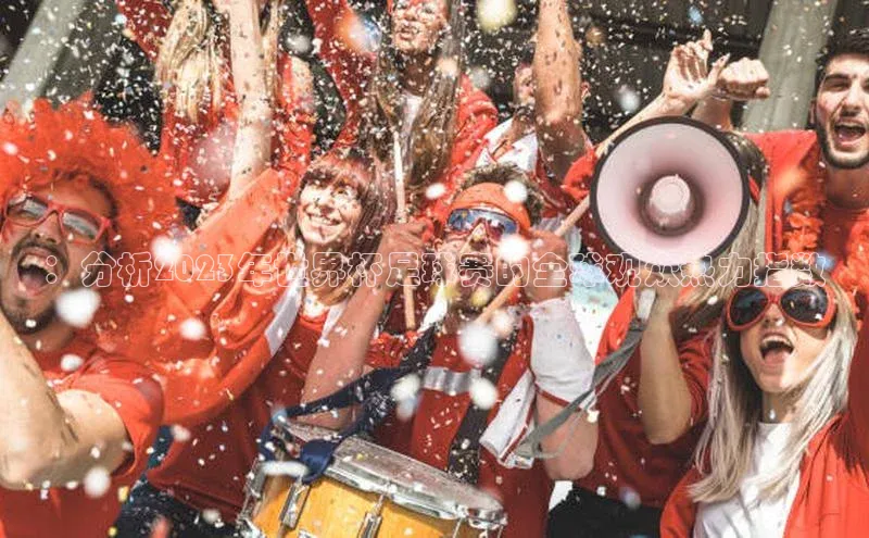 ：分析2023年世界杯足球赛的全球观众热力指数