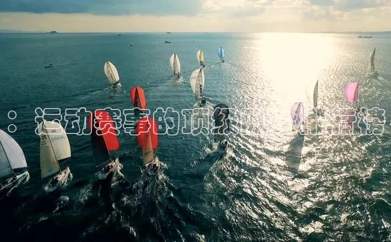 ：运动赛事的顶级酬金排行榜