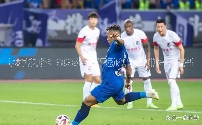 冠军之路：2023年度运动会赛事排名与展望