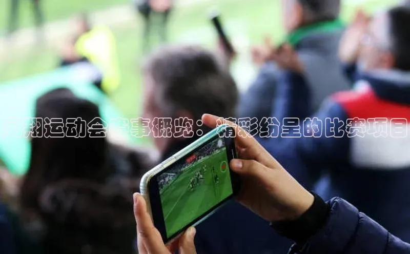 凤翔运动会赛事概览：精彩纷呈的比赛项目