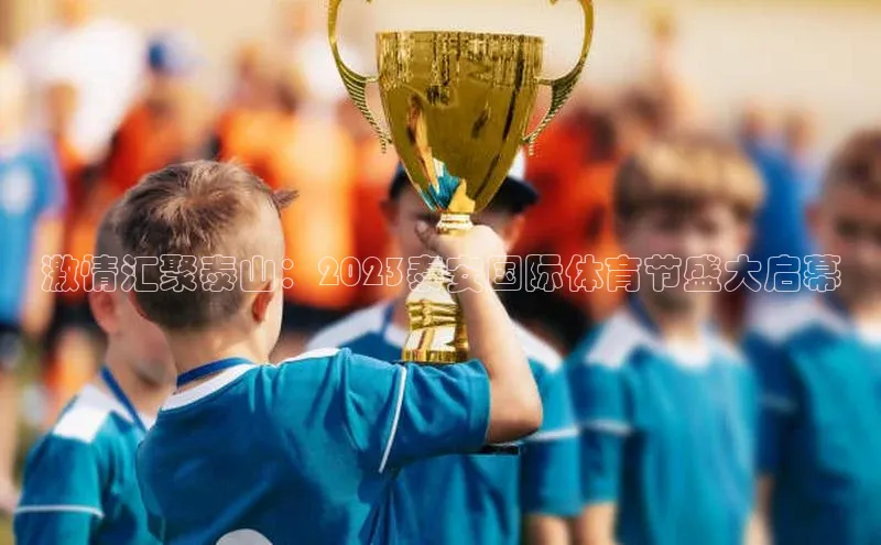 头玩官网登录入口