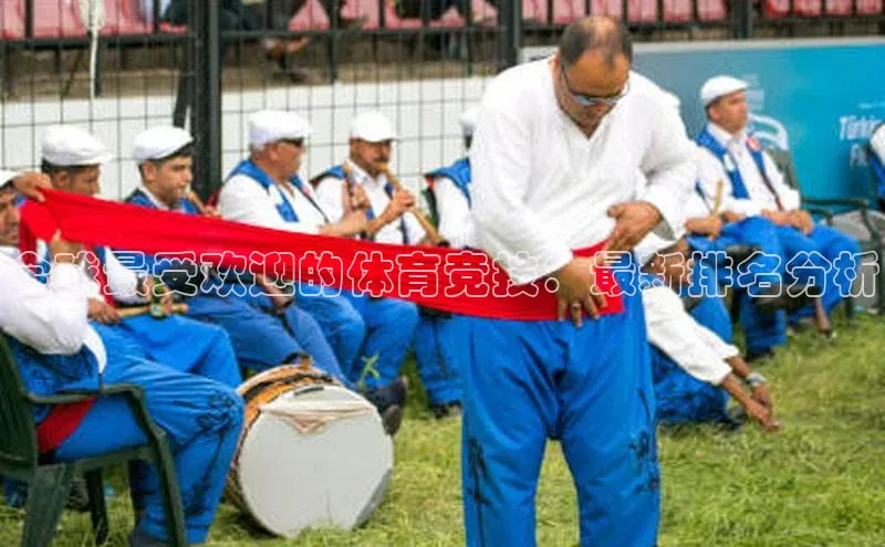 全球最受欢迎的体育竞技：最新排名分析